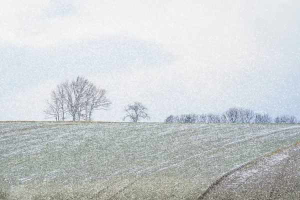 Snowy Krajobraz Drzewami Spadającym Śniegiem Czechy — Zdjęcie stockowe