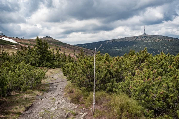 Praded peak with transmitter, view from Nad Ovcarnou, Jeseniky — Stock Photo, Image