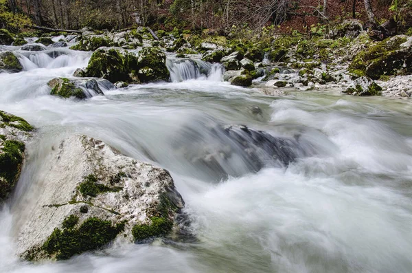 슬로베니아에 돌을 던지고 있는 아름다운 하얀 야생 강 사바 — 스톡 사진