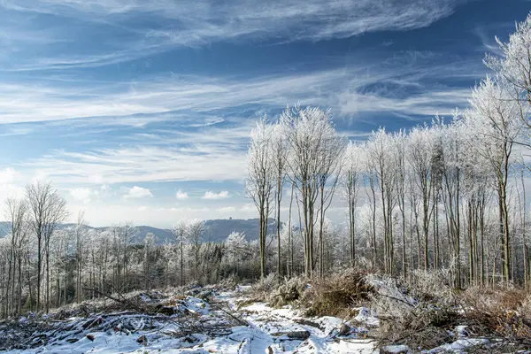 Campagne Hivernale Avec Neige Arbres Hostyn Arrière Plan — Photo