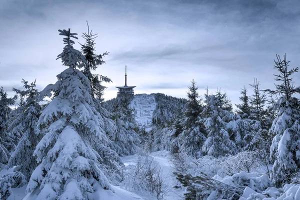 冬季带有电视发射机的Lysa Hora峰 图库图片