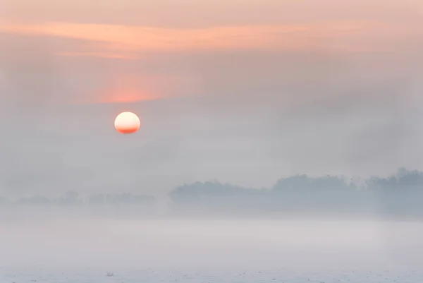 Mañana brumosa en el campo, cielo naranja, República Checa — Foto de Stock