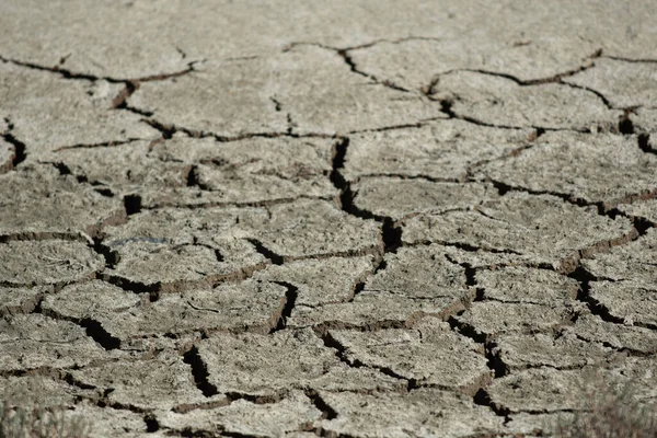 Arid soil during very dry weather, destroyed environment, Slovenia — Stock Photo, Image