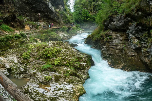 Vintgar gorge, Radovna River, Slovenia — Stock Photo, Image
