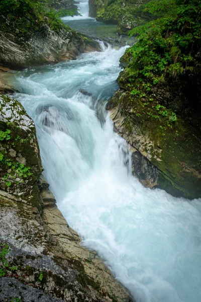 Vintgar gorge, Radovna River, Slovenia — Stock Photo, Image
