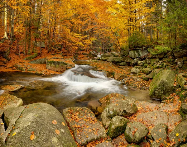 Mumlava river with water stream, Harrachov, Krkonose, Czech Republic — Stock Photo, Image