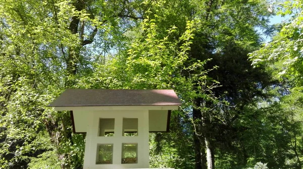 Yüksek ayakta lodge hemşirelik kuşların için.