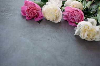 Pembe ve beyaz peonies gri arka plan üzerinde buket