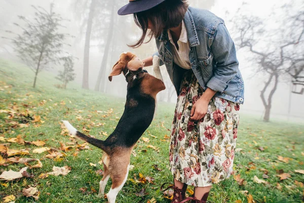 Beagle Köpek Park Ile Oynayan Kadın — Stok fotoğraf