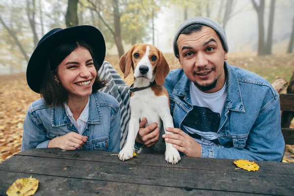 Happy couple sitting on bench with Beagle dog in park