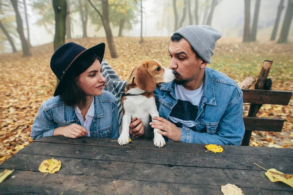 Happy Couple Sitting Bench Beagle Dog Park — Stock Photo, Image