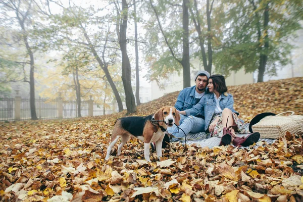 Lyckligt Par Att Kul Och Njuta Tid Med Beaglehund — Stockfoto