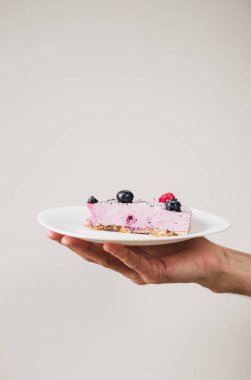 berry cheese cake without baking, sweets without sugar