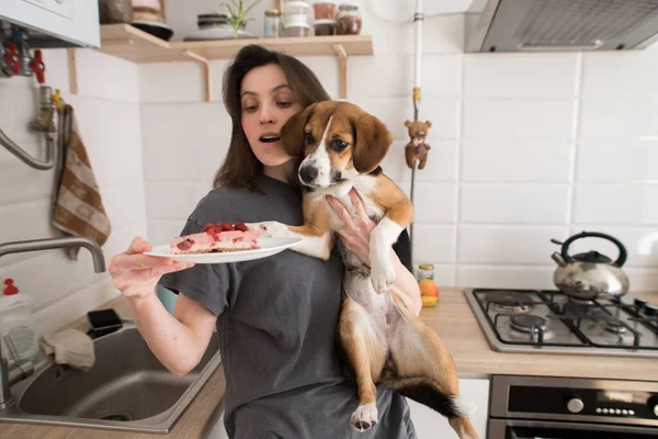 Samimi Mutfakta Köpekli Bir Kız Kek Yiyecek — Stok fotoğraf