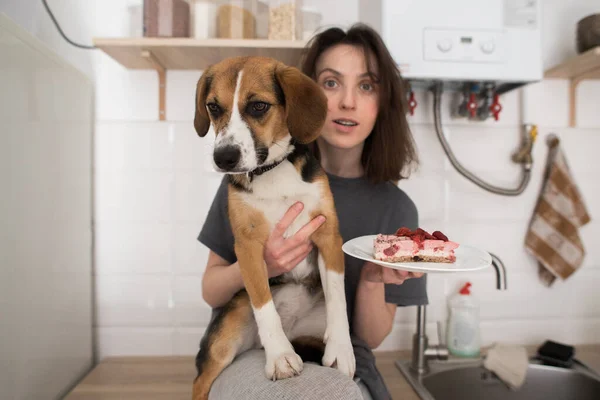 Meisje Met Hond Gezellige Keuken Gaan Naar Taart Eten — Stockfoto