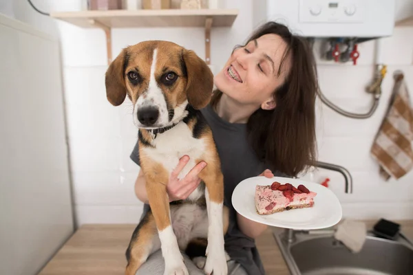 Samimi Mutfakta Köpekli Bir Kız Kek Yiyecek — Stok fotoğraf