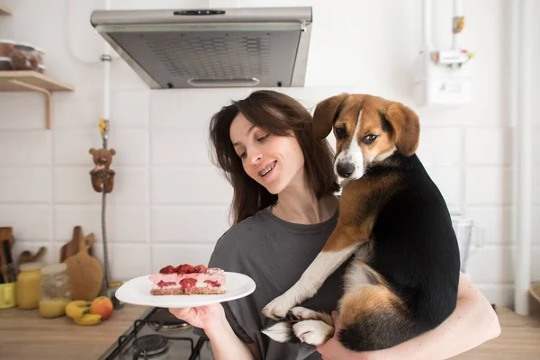 Samimi Mutfakta Köpekli Bir Kız Kek Yiyecek — Stok fotoğraf