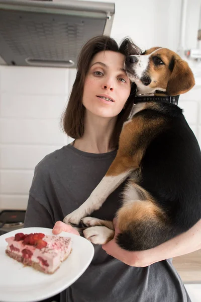 Samimi Mutfakta Köpekli Bir Kız Kek Yiyecek — Stok fotoğraf