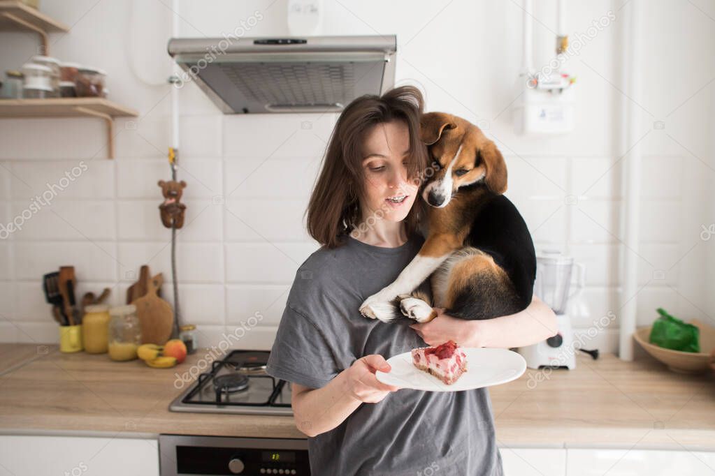 girl with dog in cozy kitchen going to eat cake