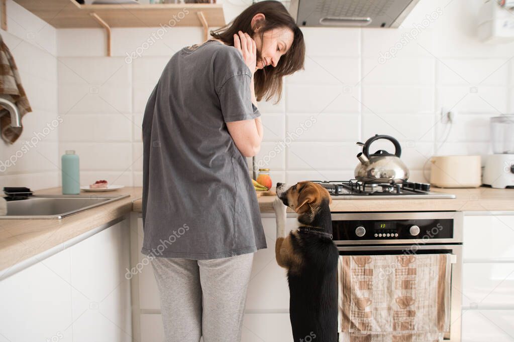 young woman cooks in the kitchen with a dog