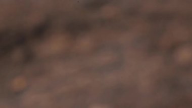 Erkek yandan pahalı kol saatleri