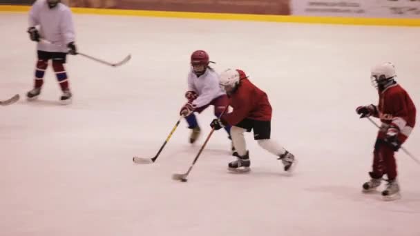 Allenare la squadra di hockey per bambini . — Video Stock