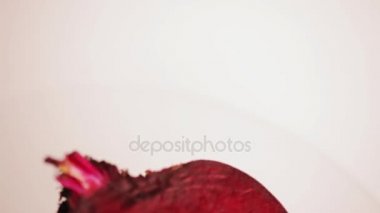 Beyaz arka plan üzerinde yarım pancar kesilmiş