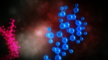 Molekül antioksidan serbest radikallerin savaşır