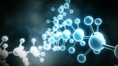 Molekül antioksidan serbest radikallerin savaşır