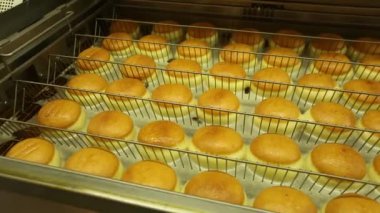 Ekmek fırınları fırın krem buns.