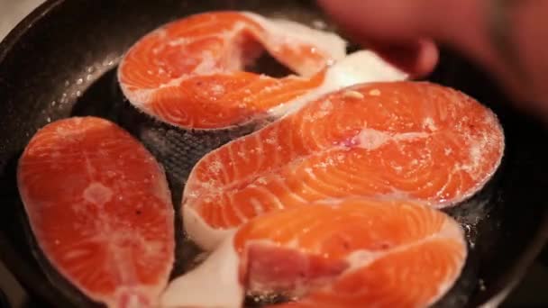 Стейки из лосося на сковороде — стоковое видео