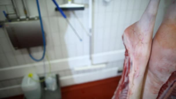 Slaktkroppar av gris som hänger på krokar — Stockvideo