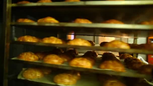 Průmyslová pec na pečení chleba. — Stock video