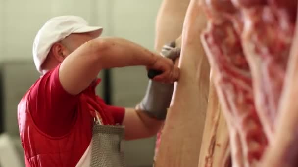 Metzgerei. Schweineschlachtkörper schneiden — Stockvideo