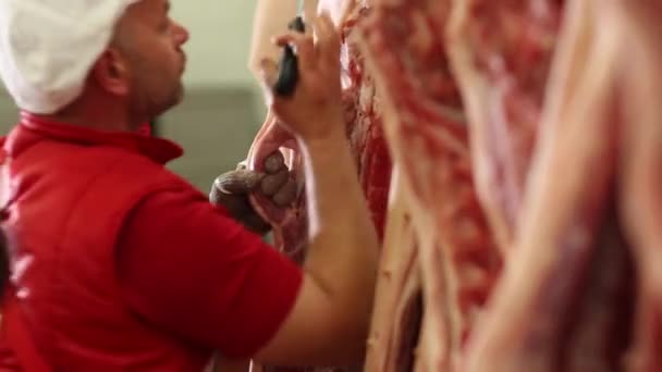 Macelleria. Carcasse di suino sezionate — Video Stock