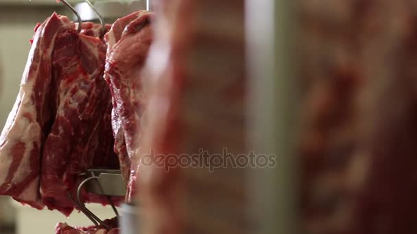 Slagerij. Snijden van varkensvlees karkassen — Stockvideo