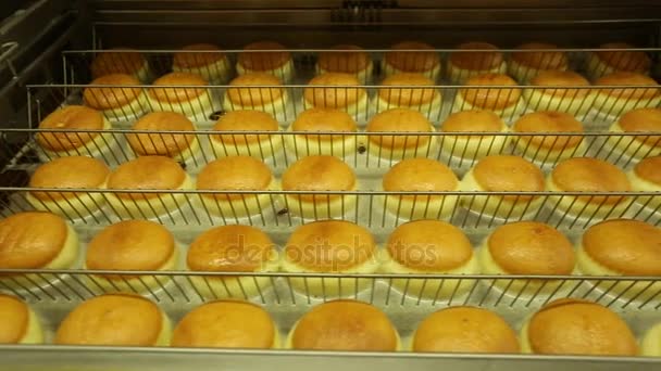 Cooking muffins in the burning oil — Stock Video