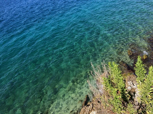 Un primo piano di un fiume, Corfù, Grecia — Foto Stock