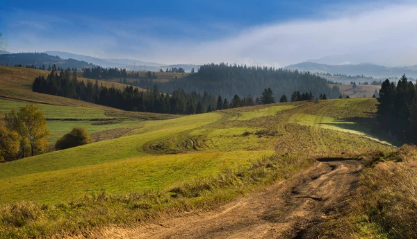 Wide road in the Carpathian Mountains through a coniferous forest in autumn day. — Stock Photo, Image