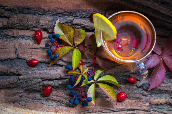 Still life with hot tea from dogrose and lemon autumn leaves — Stock Photo, Image