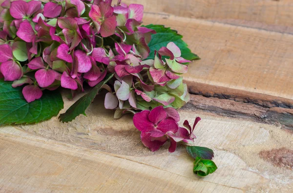 Hortensienblüten auf einem hölzernen Hintergrund — Stockfoto