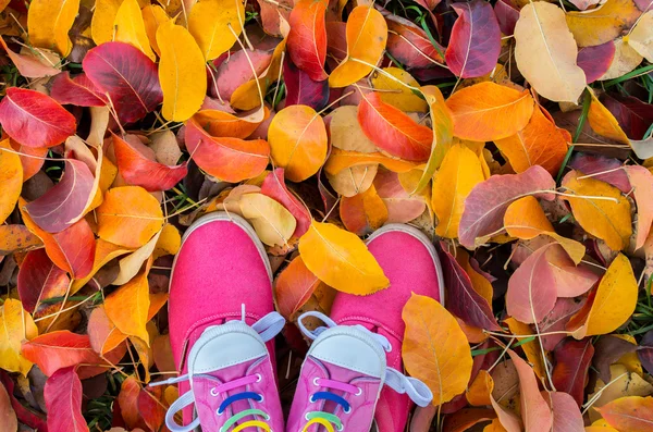 Shoes woman and child standing in many of the fallen autumn — Stock Photo, Image