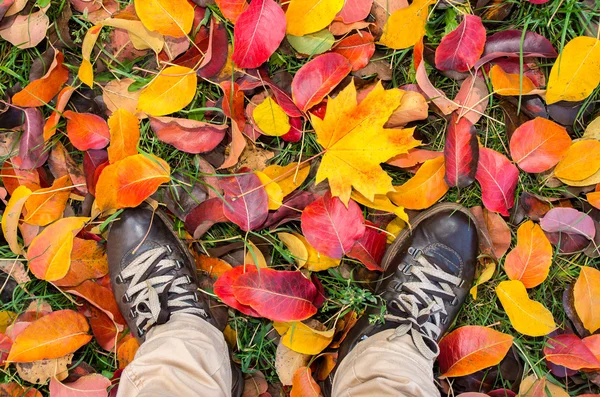 Shoes standing in many fallen autumn leaves, top view. — Stock Photo, Image