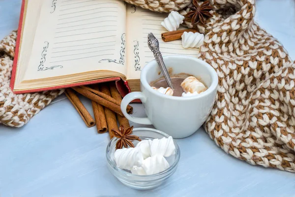 Still life cup of cocoa with marshmallow and star anise,cinnamon — Stock Photo, Image