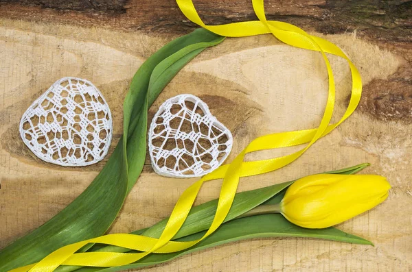 Gelbe Tulpe mit Schleife und Geschenkschachtel . — Stockfoto