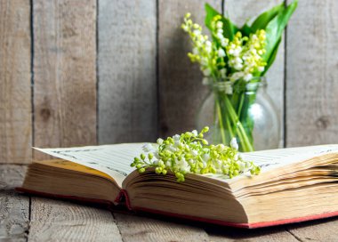 Lily vadi çiçekli açık kitap