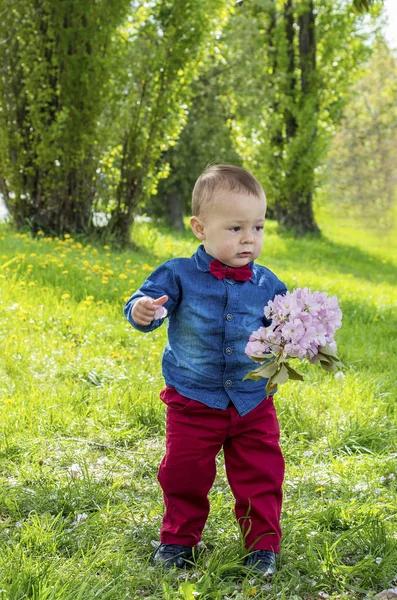 Little boy for one year walking in the park during the flowerin — Stock Photo, Image