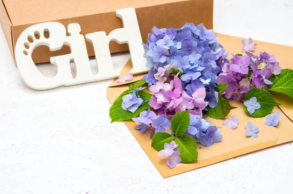 Flowers hydrangeas in an envelope and gift box