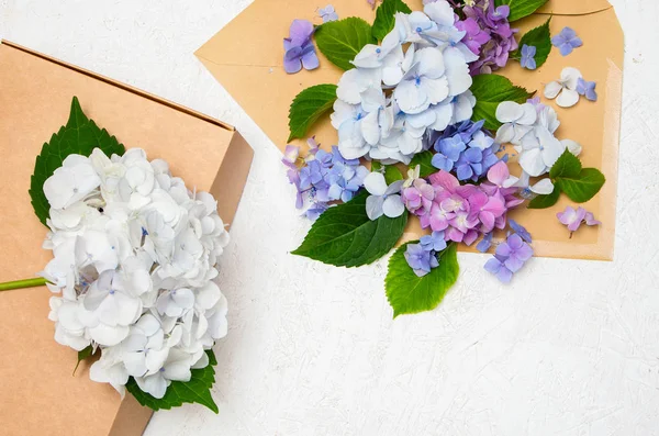 封筒、ギフト ボックスの花アジサイの花 — ストック写真