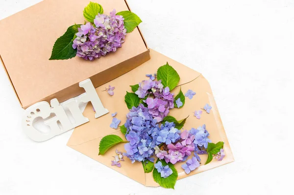 Flores hortênsias em um envelope e caixa de presente em um backg branco — Fotografia de Stock